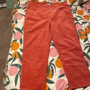 Market & Spruce Corduroy Pants